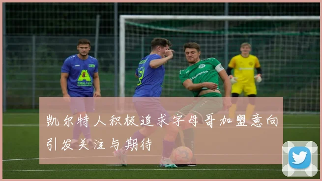 凯尔特人积极追求字母哥加盟意向引发关注与期待