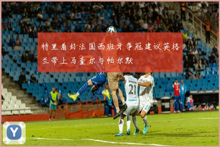 特里看好法国西班牙争冠建议英格兰带上马奎尔与帕尔默